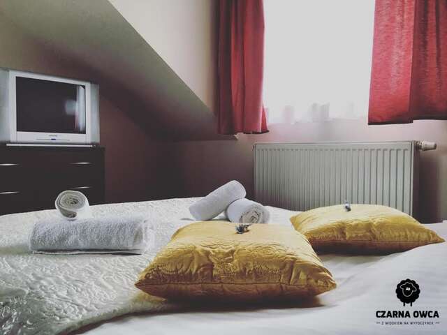 Отели типа «постель и завтрак» Czarna Owca Истебна-69
